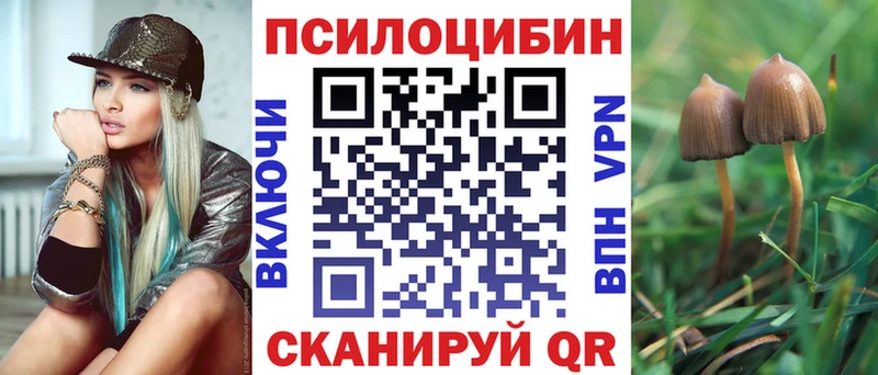 Галлюциногенные грибы Psilocybe  Шахты 